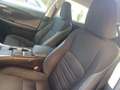 Lexus NX 300h NX 300h Business 2WD Business Plateado - thumbnail 6