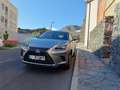 Lexus NX 300h NX 300h Business 2WD Business Plateado - thumbnail 10