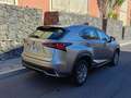 Lexus NX 300h NX 300h Business 2WD Business Plateado - thumbnail 13