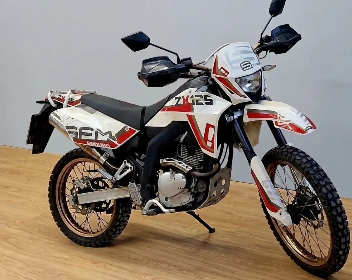 Sachs/SFM SX