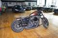 Harley-Davidson Iron 883 Braun - thumbnail 6
