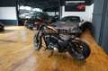 Harley-Davidson Iron 883 Braun - thumbnail 9