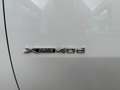 BMW X6 xDrive 40dA - thumbnail 13