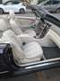 Mercedes-Benz CLK 500 AGOSTO APERTI-CABRIO-ANNO 2005-IVA ESPOSTA INCLUSA NEL PREZZO-CAPPOTTA ELETTRICA-P Schwarz - thumbnail 15