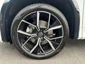 Volkswagen Tayron R-Line 2.0 TDI 4Motion PANO, HEAD UP, SHZ Weiß - thumbnail 9