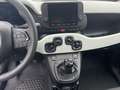 Fiat Panda 1.0 GSE Pandina Cross Hybrid DAB/Klima Grün - thumbnail 23