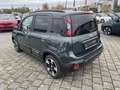 Fiat Panda 1.0 GSE Pandina Cross Hybrid DAB/Klima Grün - thumbnail 20