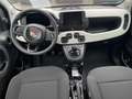 Fiat Panda 1.0 GSE Pandina Cross Hybrid DAB/Klima Grün - thumbnail 13