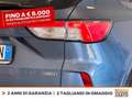 Ford Kuga 2.5 phev st-line x 2wd 225cv cvt Blu/Azzurro - thumbnail 17