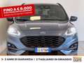 Ford Kuga 2.5 phev st-line x 2wd 225cv cvt Blu/Azzurro - thumbnail 2