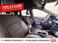 Ford Kuga 2.5 phev st-line x 2wd 225cv cvt Blu/Azzurro - thumbnail 7