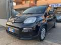Fiat Panda 1.0 hybrid 5POSTI RadioBT/PDC Poster.-PREZZO VERO Noir - thumbnail 1
