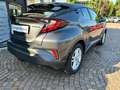 Toyota C-HR C-HR I 2020 1.8h Business e-cvt Grau - thumbnail 16