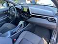 Toyota C-HR C-HR I 2020 1.8h Business e-cvt Grau - thumbnail 4