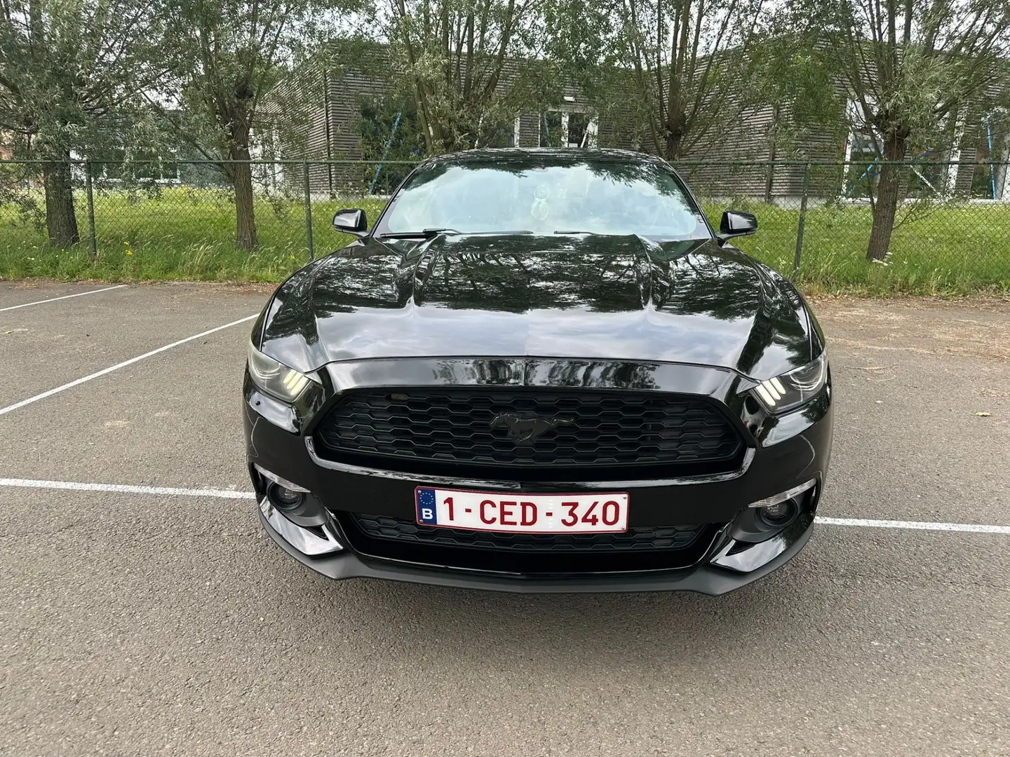 Ford Mustang 2.3 Eco Boost - GARANTIE 12 maanden - 2
