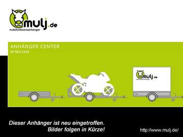 Cargo Dynamic CD260WHBR1300 Rampe Kofferanhänger