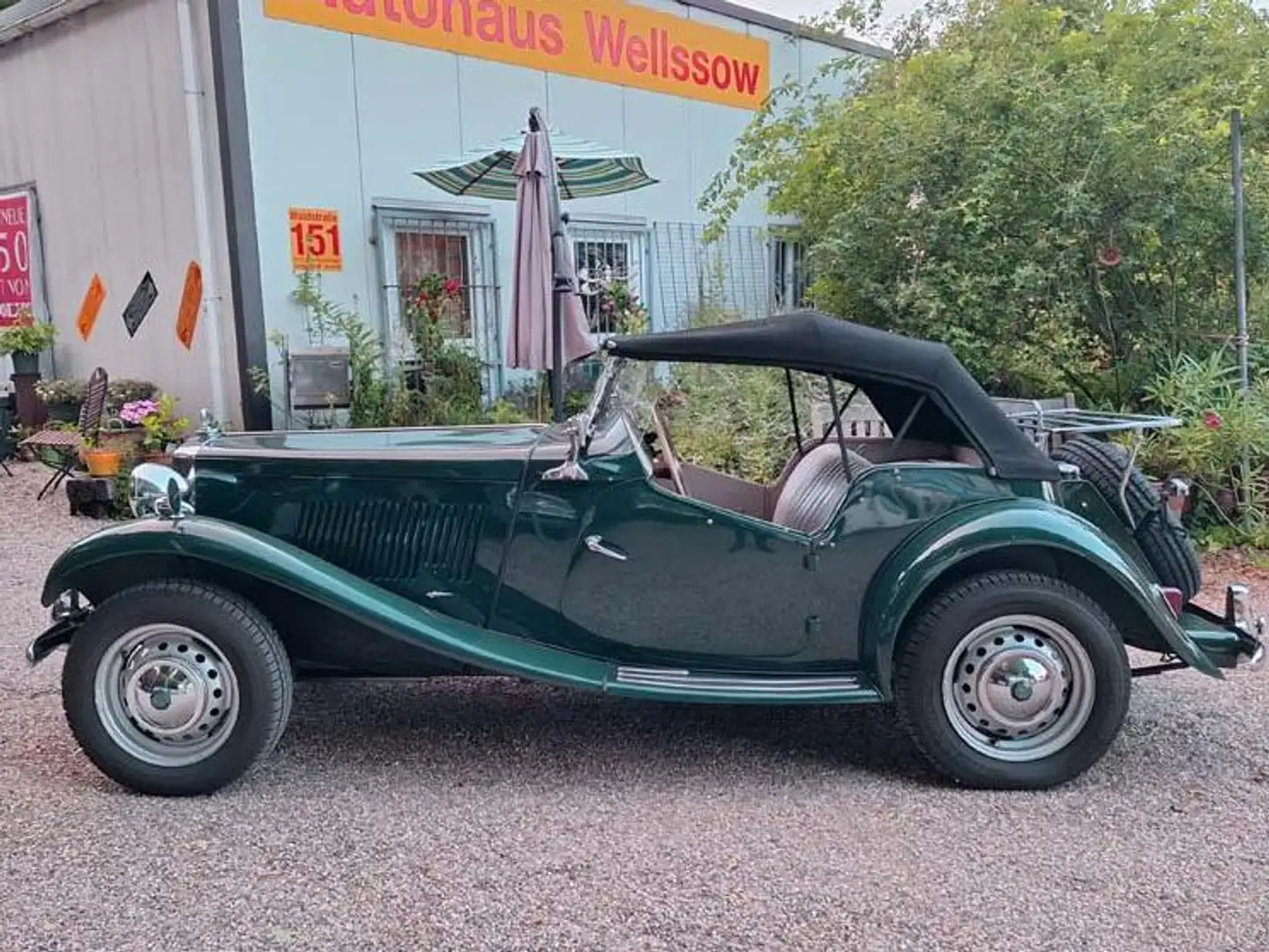 MG TD Liebhaberzustand seit 35 Jahren 1.Hand Verde - 2