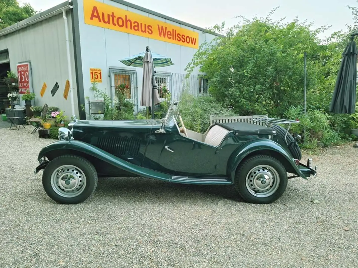 MG TD Liebhaberzustand seit 35 Jahren 1.Hand Verde - 1