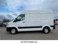 Hyundai H350 Kasten Kasten L2H2 Profi Bianco - thumbnail 7