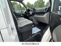 Hyundai H350 Kasten Kasten L2H2 Profi Bianco - thumbnail 10