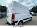 Hyundai H350 Kasten Kasten L2H2 Profi Bianco - thumbnail 3
