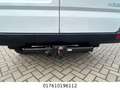 Hyundai H350 Kasten Kasten L2H2 Profi Bianco - thumbnail 5
