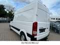 Hyundai H350 Kasten Kasten L2H2 Profi Bianco - thumbnail 6