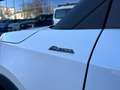 Ford Tourneo Courier ACTIVE1.0 EcoBoost Aut. *Winter-Pk*LED-TFL* Weiß - thumbnail 21
