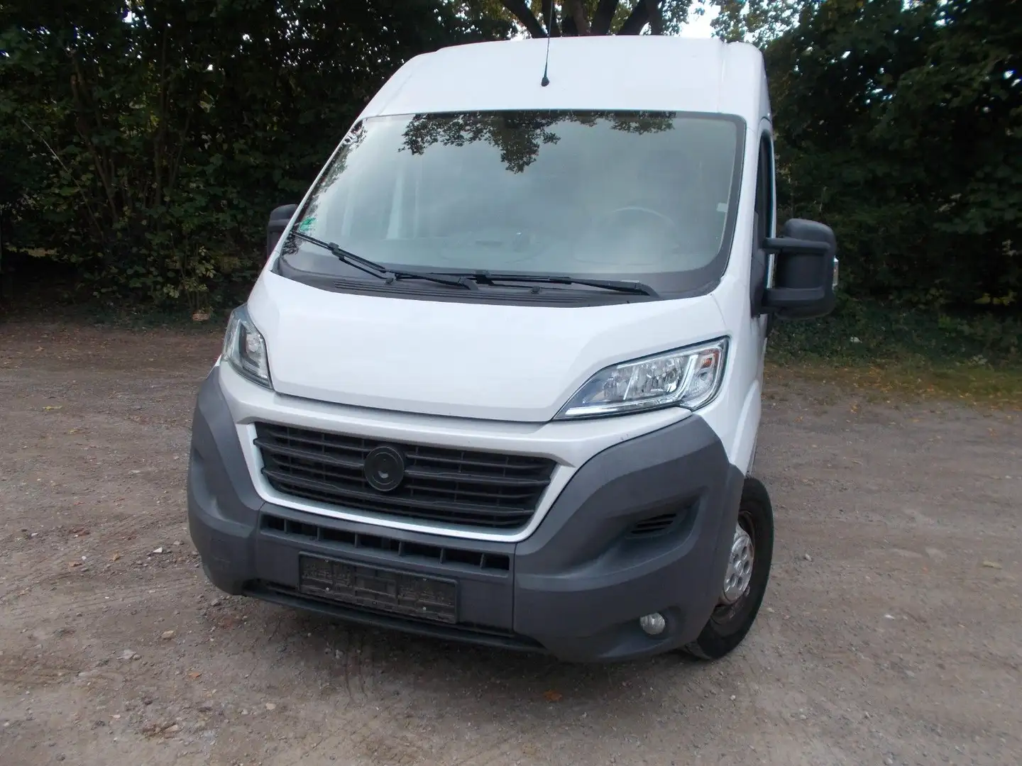 Fiat Ducato Hochr.-Kasten 30 130 L2H2 RS: 3450 mm Weiß - 1
