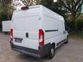 Fiat Ducato Hochr.-Kasten 30 130 L2H2 RS: 3450 mm Weiß - thumbnail 10