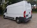 Fiat Ducato Hochr.-Kasten 30 130 L2H2 RS: 3450 mm Weiß - thumbnail 11