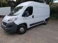Fiat Ducato Hochr.-Kasten 30 130 L2H2 RS: 3450 mm Weiß - thumbnail 8
