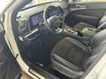 Kia Sportage GT-line Plus Premium Pack TETTO FULL Uff . ITALIA Bianco - thumbnail 8