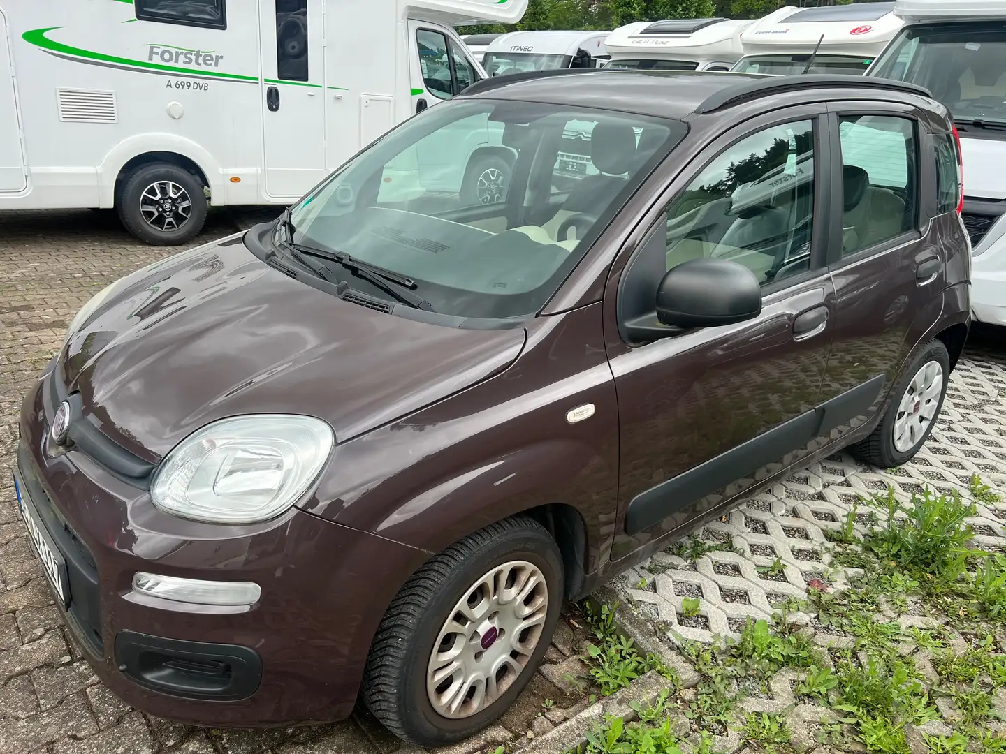 Fiat Panda My Panda Коричневий - 2
