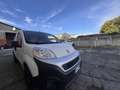 Fiat Fiorino 1.3 diesel, Autocarro N1,2 posti, anno 2019 - thumbnail 6