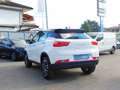 Cirelli Cirelli 2 1.5 turbo Mhev Mild Hybrid/GPL Automatica Cross Weiß - thumbnail 22
