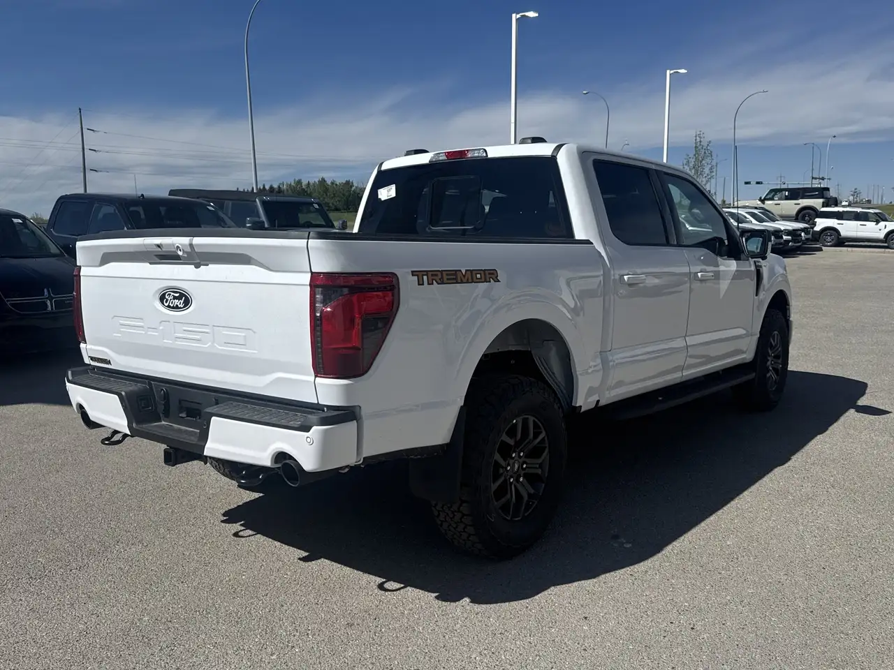 Ford F 150 снимка Ford F 150