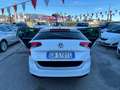 Volkswagen Passat Variant " DA VETRINA " 1.6 tdi Business 120cv dsg Wit - thumbnail 13