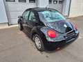 Volkswagen New Beetle Lim. 2.0   AUTOMATIK.KLIMA.SCHECKHEFT Noir - thumbnail 12