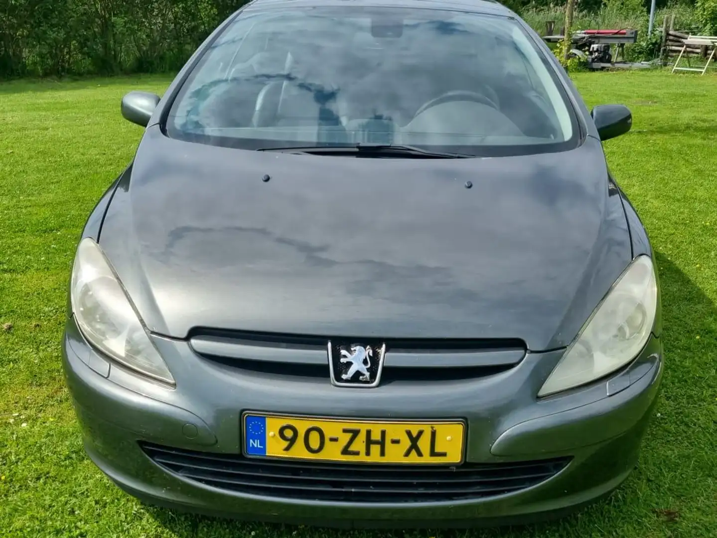 Peugeot 307 307 2.0-16V Zöld - 2