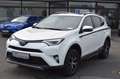 Toyota RAV 4 Style Selection Hybrid*Leder/ 29100 km** Blanc - thumbnail 2