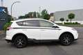 Toyota RAV 4 Style Selection Hybrid*Leder/ 29100 km** Blanc - thumbnail 3