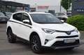 Toyota RAV 4 Style Selection Hybrid*Leder/ 29100 km** Blanc - thumbnail 21