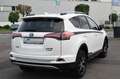 Toyota RAV 4 Style Selection Hybrid*Leder/ 29100 km** Blanc - thumbnail 12