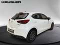Mazda 2 Prime-Line 1.5L SKYACTIV-G *Klima*LED* Weiß - thumbnail 4