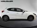 Mazda 2 Prime-Line 1.5L SKYACTIV-G *Klima*LED* Weiß - thumbnail 5