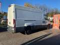 Iveco Daily 3 posti 2.3 - AUTOMATICO Wit - thumbnail 8