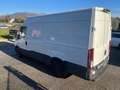 Iveco Daily 3 posti 2.3 - AUTOMATICO Wit - thumbnail 4
