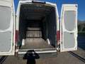 Iveco Daily 3 posti 2.3 - AUTOMATICO Wit - thumbnail 22