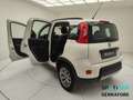 Fiat Panda III 2016 4x4 0.9 t.air t. 4x4 s&s 85cv Bianco - thumbnail 7
